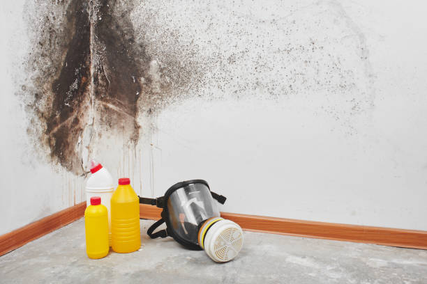 Best Mold Cleaning Services  in Smithfield, VA