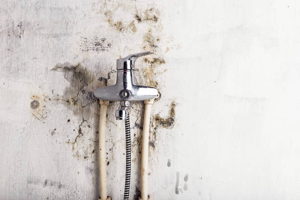 Best Emergency Mold Removal  in Smithfield, VA