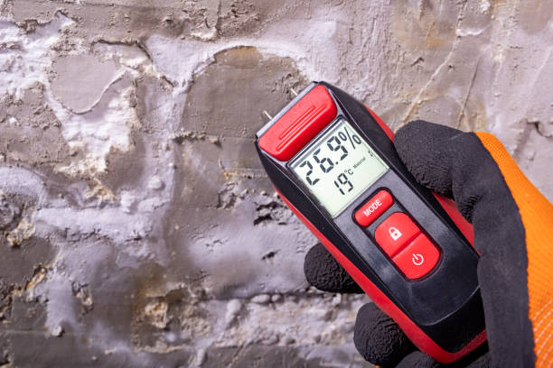 Best Attic Mold Removal  in Smithfield, VA