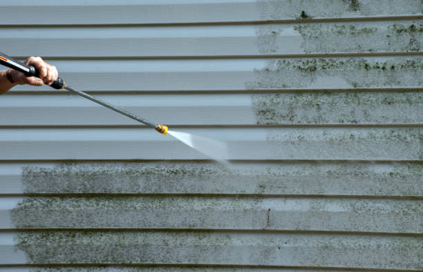 Best Professional Mold Removal  in Smithfield, VA