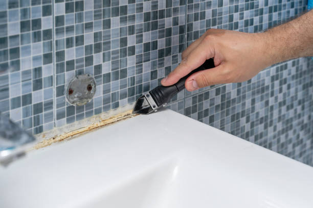 Best Fast Mold Removal  in Smithfield, VA