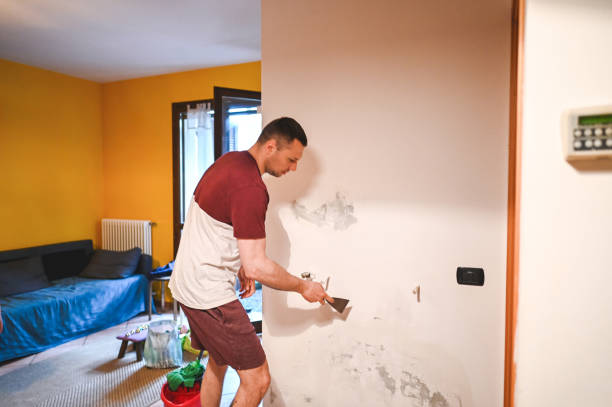 Best Mold Remediation Services  in Smithfield, VA