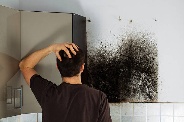 Best Affordable Mold Removal  in Smithfield, VA